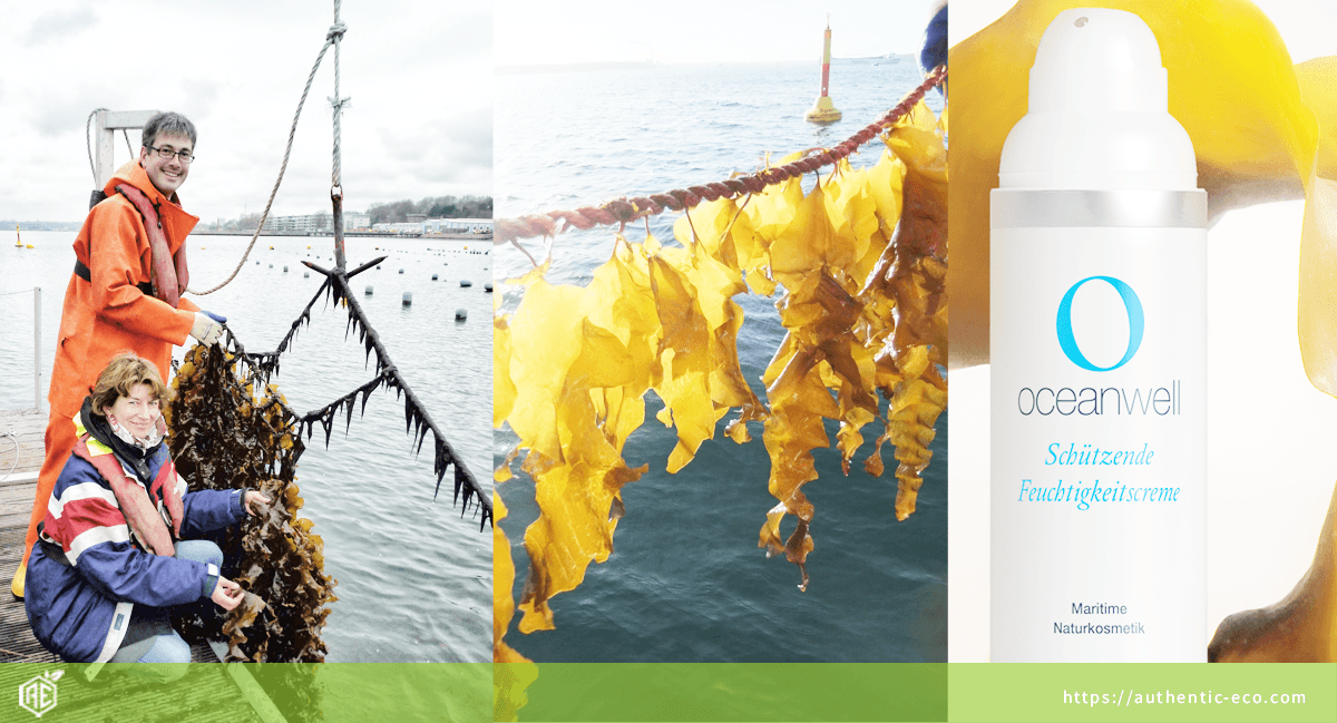 Oceanwell Feuchtigkeitscreme mit Algen